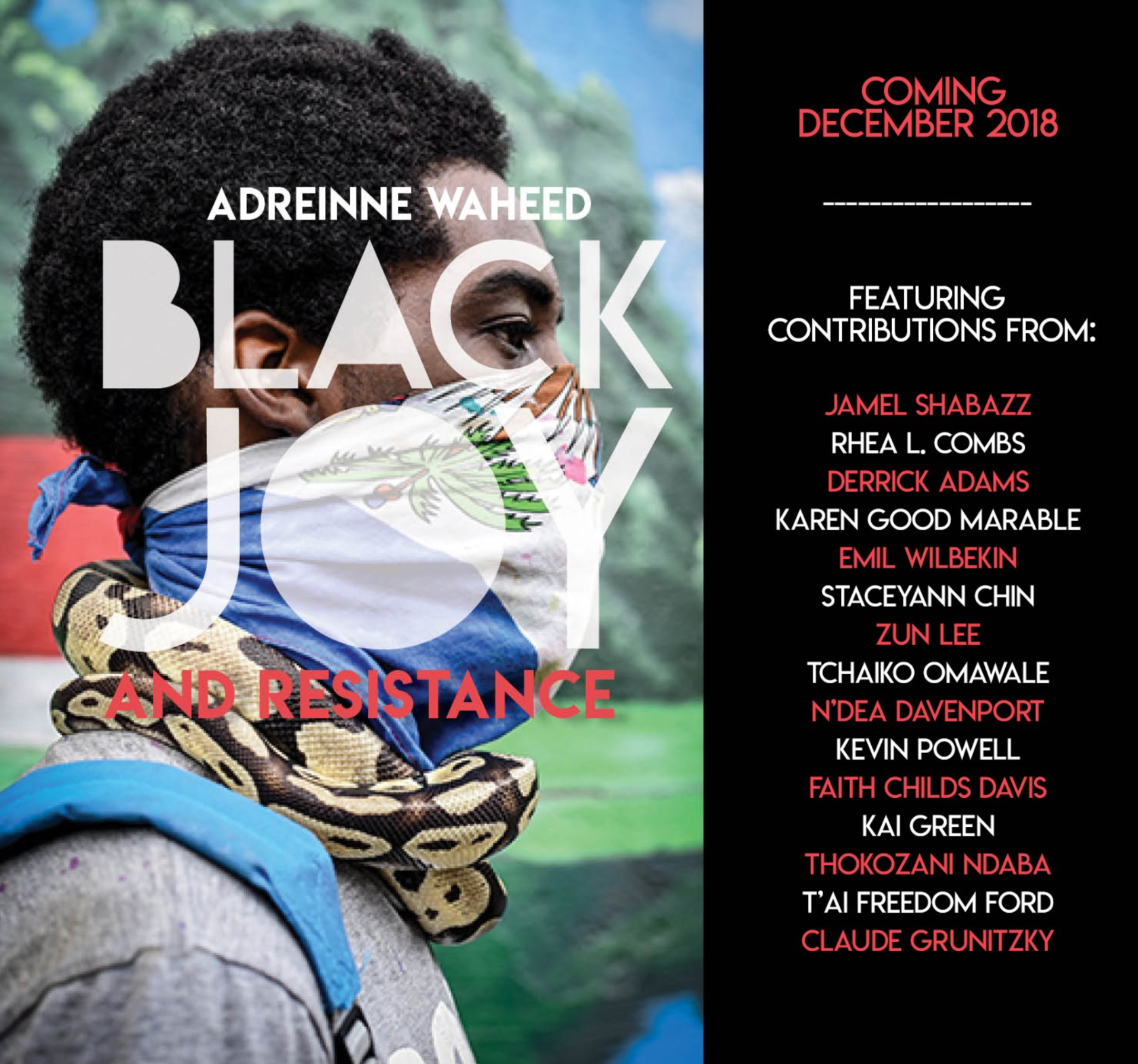 Screen Shot 2018-12-04 at 3.58.31 PM